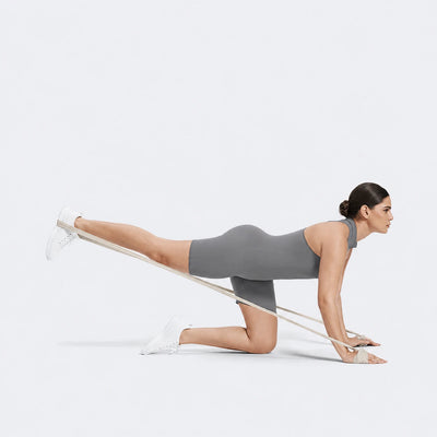 05. Rear Leg Press Extensions
